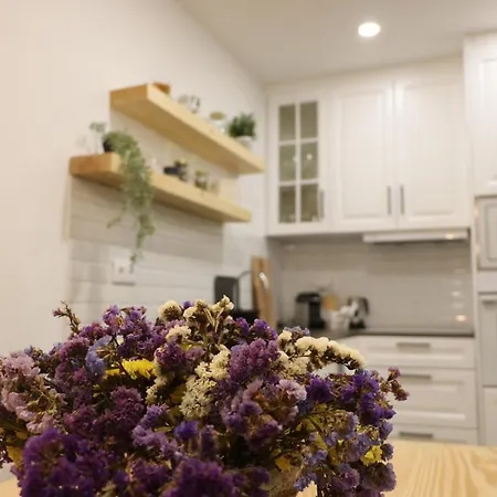 Casa Dos Palecos Feriehus *